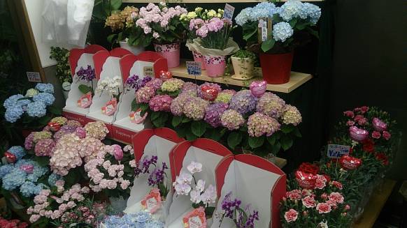 「フラワーショップすずらん」　（千葉県市川市）の花屋店舗写真2